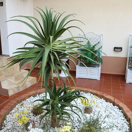 Mondello House Lemon Apartment *