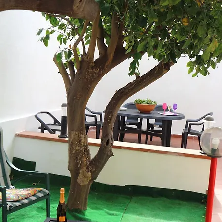 Apartment Mondello House Lemon